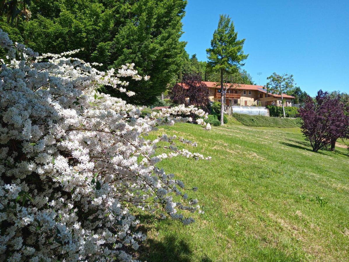 L'Albore Costigliole Saluzzo Exterior photo